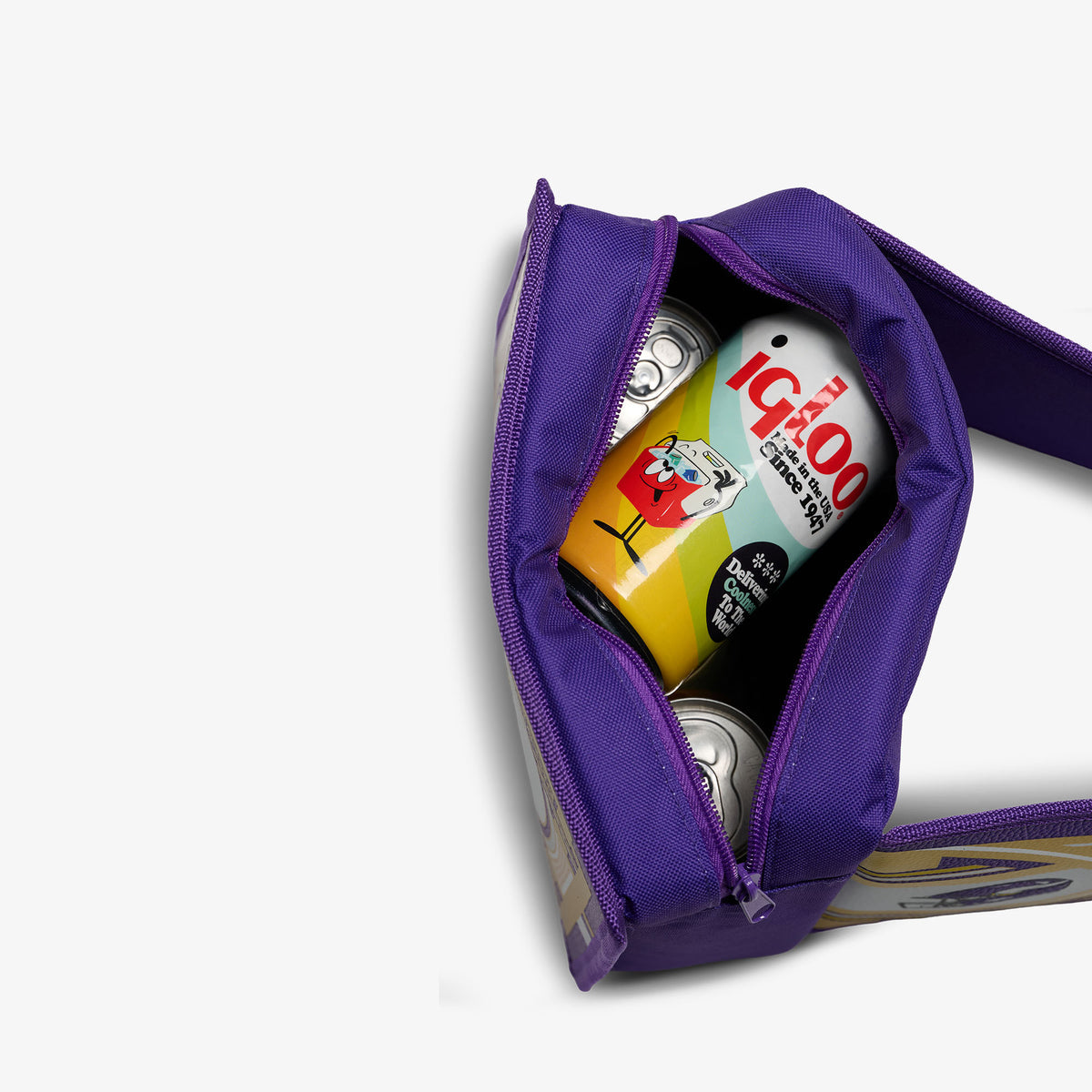 NFL WWE Cooler Fanny Pack